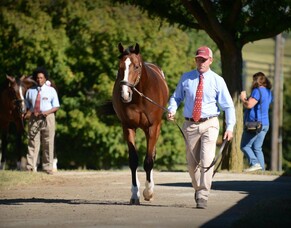 Bevan's Final Blog from Kentucky