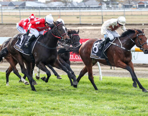 Auspicious day for Auret family