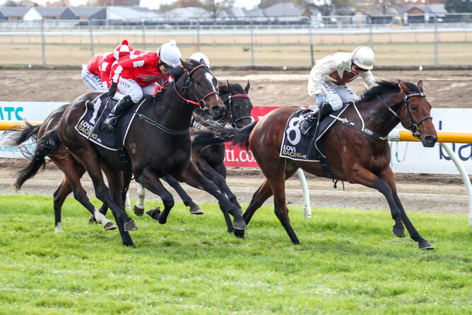 Unusual Countess strides to the line to take out the Listed Berkley Stud Champagne Stakes (1200m) at Riccarton.  - Photo Credit: Race Images South