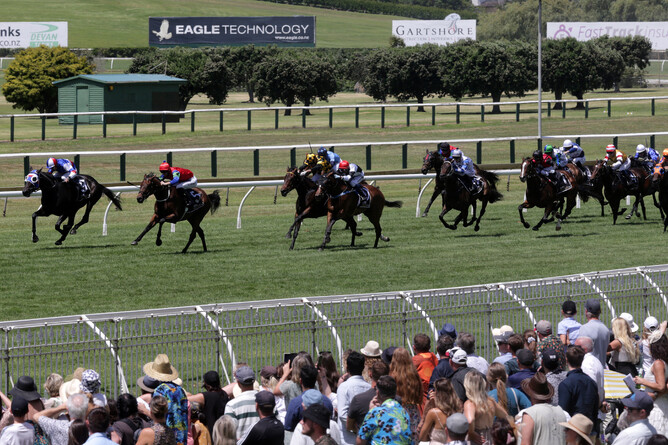 Self Obsession and Princess Lowry near the finish in front of a large crowd at Ellerslie Photo Credit: Trish Dunell