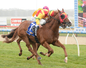 First winner for Pure Champion