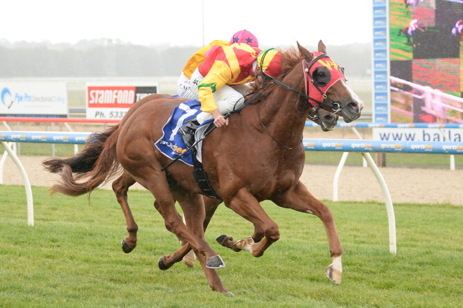 Manhattan Spector winning at Ballarat on Sunday. Photo: Ross Holburt/Racing Photos