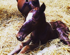 Hannah&rsquo;s Blog - March 2016