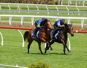 Unique Ready to Run Sale Defies Odds