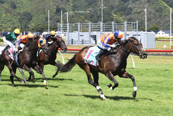 My Lips Are Sealed winning at Trentham last Saturday.   - Photo: Peter Rubery (Race Images Palmerston North)