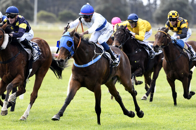 Exciting debut winner, Double Impact - Race Images - Kenton Wright