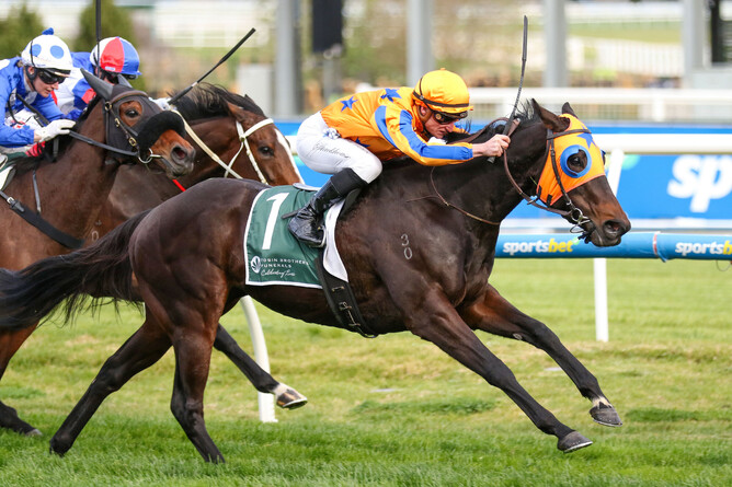 Quintessa heading off rivals in Gr. 3 Cockram Stakes - Photo: Bruno Cannatelli