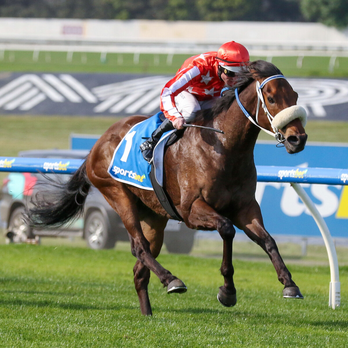 Desert Lightning strikes at Sandown New Zealand Thoroughbred Breeders