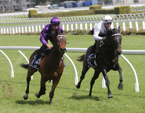 Complacent sires first winner