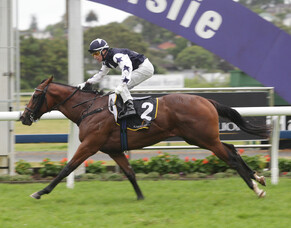 Vespa a great fit for Wellfield Lodge