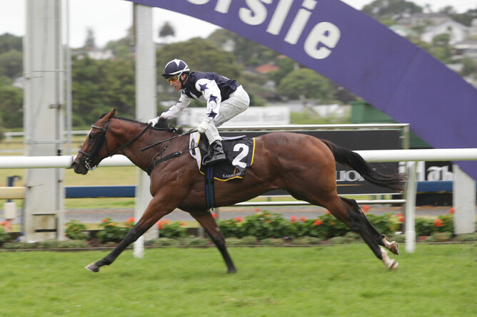 Gr.1 winner Vespa will retire to Wellfield Lodge this spring