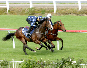 Entries extended for Ready To Run sale