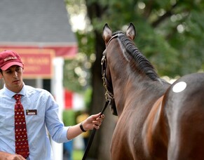 Lance arrives in Kentucky
