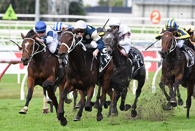 Scarlet Oak (white cap) winning the Gr.2 The Roses (2000m) at Doomben on Saturday - Photo: Grant Peters (Trackside Photography)