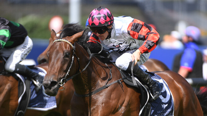 Ohope Wins winning the Gr.2 Sir Patrick Hogan Stakes (2000m) at Ellerslie on New Year's Day.  - Photo: Kenton Wright (Race Images)
