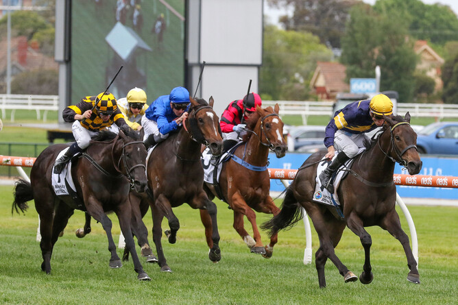 Coeur Volante was a dominant winner of the Gr.2 Thousand Guineas Prelude (1400m) at Caulfield on Saturday.  - Photo: Bruno Cannatelli