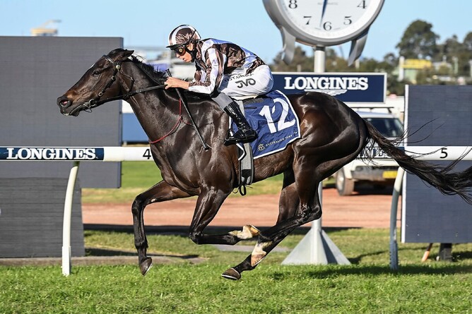 Cross Talk winning the Listed Winter Challenge (1500m) at Rosehill on Saturday. - Photo: bradleyphotos.com.au