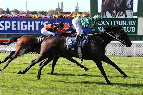 Include wins the Listed Valachi Downs South Island Breeders’ Stakes 21/3/15 - (picture courtesy of Race Images)