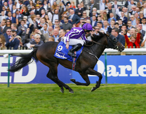 U.S. Navy Flag to Valachi Downs