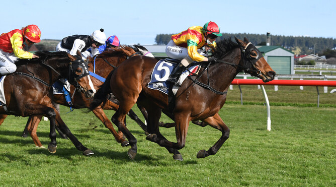 Soldier Boy races to victory in the Listed HS Dyke Wanganui Guineas (1340m) Photo Credit: Race Images - Grant Matthew