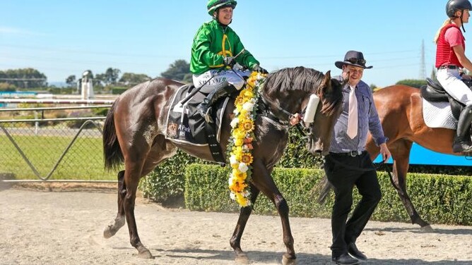 Pivotal Ten and Samantha Wynne after winning Saturday's Listed ILT Ascot Park Hotel Southland Guineas (1400m). - Photo: Monica Toretto