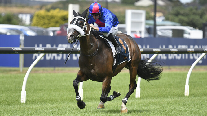 El Vencedor romps to a five-length win in the Fulton Family Stakes at Ellerslie. - Photo: Kenton Wright (Race Images)