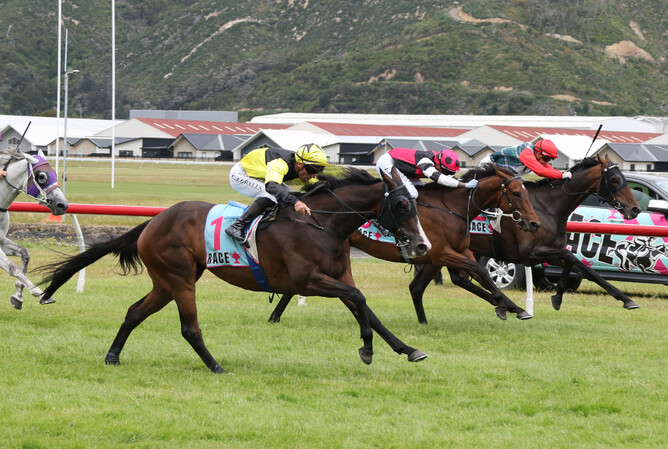 One Bold Cat (outside) winning the Listed Vernon & Vazey Truck Parts LTD (2200m) at Trentham on Saturday.   - Photo: Peter Rubery (Race Images)