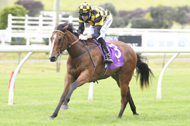 Bavella (Snitzel - Zonza by Zabeel) winning the Listed Splice Construction 2YO Stakes - photo Racing Images