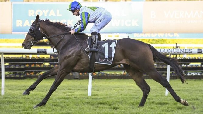 Waihaha Falls wins comfortably at Randwick  - Photo: Bradleyphotos.com.au
