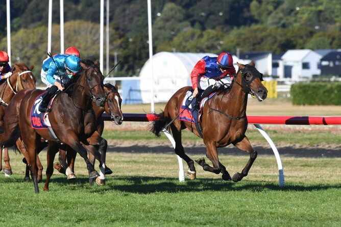 Doctor Askar winning the Listed Handicap (1400m) at Trentham on Saturday - Photo: Peter Rubery (Race Images)