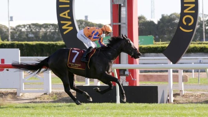 Imperatriz is well clear for rider Opie Bosson as she takes out the Gr.1 Fiber Fresh New Zealand Breeder’s Stakes (1600m) at Te Rapa  - Photo: Trish Dunell