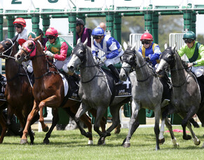 Popular NZB Insurance Pearl Series Set to Continue