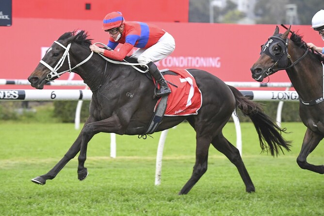 Verry Elleegant makes it Group One victory number nine as she wins the Gr.1 George Main Stakes (1600m) at Royal Randwick  Photo Credit: Bradleyphotos.com.au