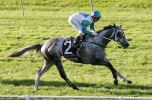 I Do - Photo: NZTM website