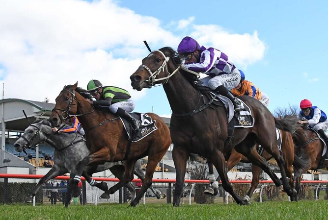 Stakes-winning mare Casino Princess (inside) has been retired.  - Photo: Kenton Wright (Race Images)