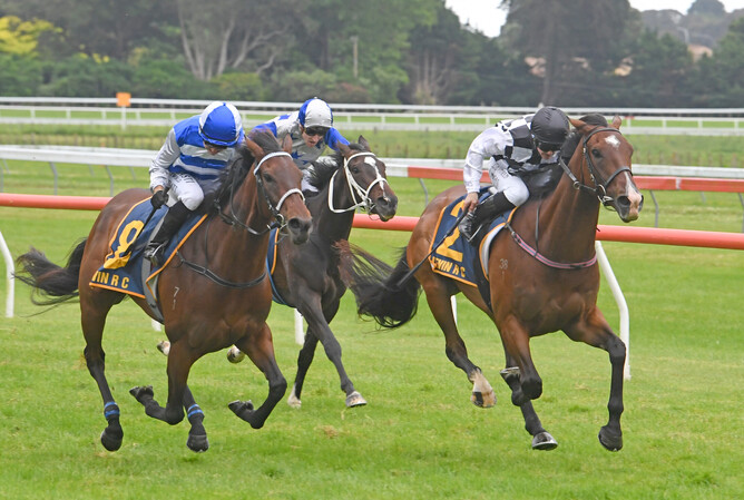 Tuxedo winning the Gr.3 Elsdon Park Wellington Stakes (1600m) at Otaki on Thursday.   - Photo: Peter Rubery, Race Images