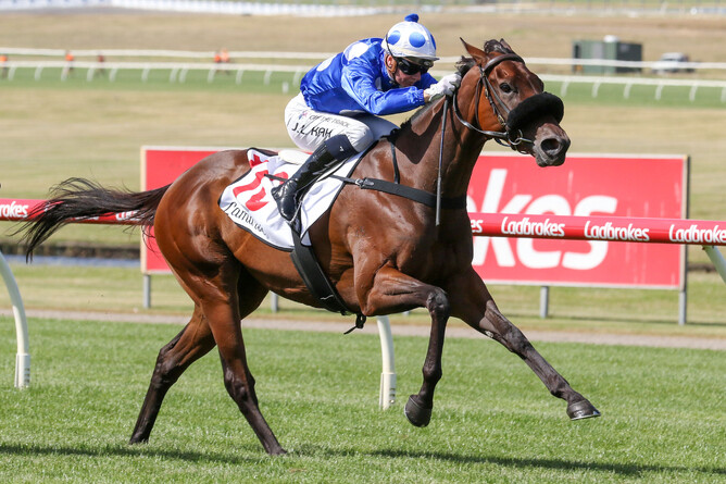 Wrote To Arataki in full flight at Sandown - Photo: Bruno Cannatelli