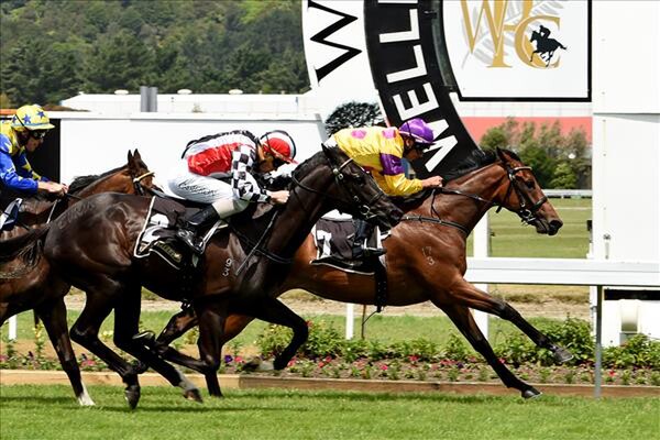 Leading Role winning the Wakefield Challenge Stakes 5/12/15 - Photo courtesy of Race Images