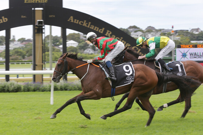 Hinepara wins the Gr.2 Avondale Cup at Ellerslie. - Photo: Trish Dunell