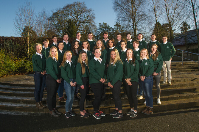 The 2020 Irish National Stud intake - Photo: Supplied