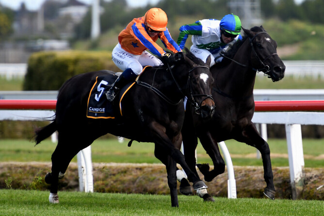 Imperatriz gets the better of stablemate I Wish I Win (inner) at Te Rapa Photo Credit: Race Images – Kenton Wright