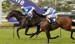 Ego wins the Group 2 Concord Handicap