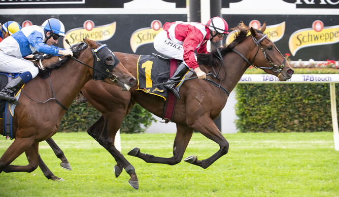 Western Empire delivers in the Gr.2 WATC Derby (2400m) Photo Credit: Western Racepix