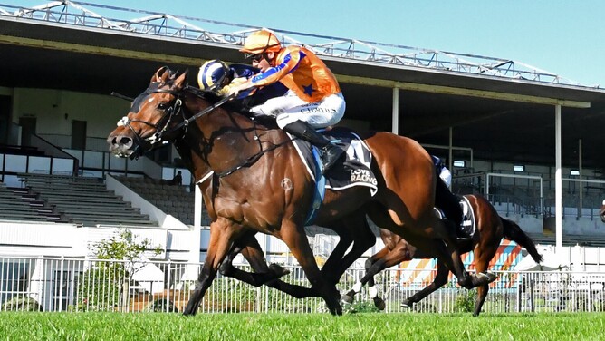 Towering Vision winning Saturday's Listed Waikato Equine Veterinary Centre Stakes (1400m) at Te Rapa.  - Photo: Kenton Wright (Race Images)