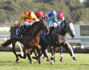 Owner happy to have a problem like Charmont