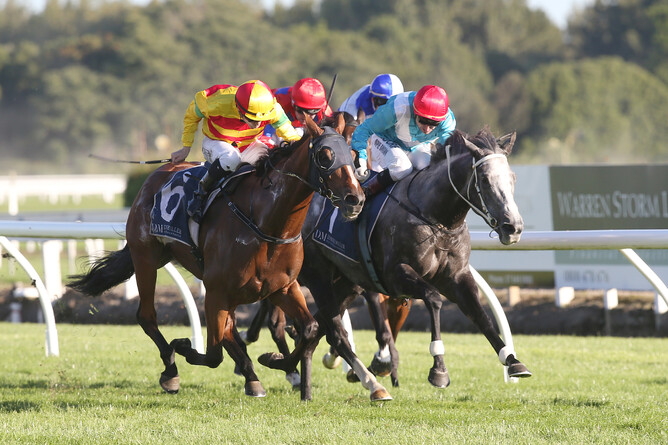 Pix ex Trish Dunell - Charmont (outer) defeats the Thee Auld Floozie in Saturday’s Gr.1 NZ Thoroughbred Breeders’ Stakes