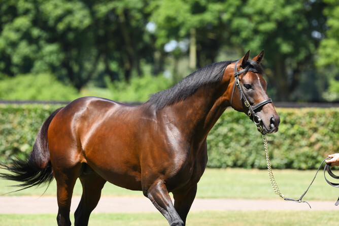 Little Avondale Stud shuttle stallion Time Test recorded his first Group victory as a sire on Wednesday when Rocchigiani won the Gr.3 Renate und Albrecht Woeste Zukunftsrennen (1400m) at Baden Baden.