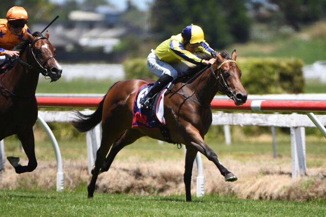 Dashing Dixie winning on debut at Te Rapa on Saturday. - Photo: Kenton Wright (Race Images)