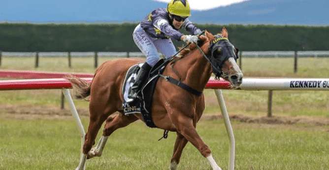 Riviera Rebel - Photo: Supplied