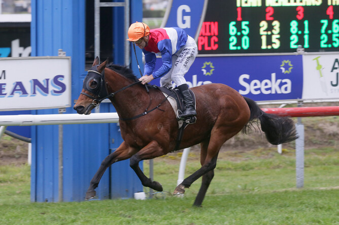 Popstar Princess and Jonathan Riddell cruise to the line to win the Listed Team Wealleans Tauranga Classic (1400m) Photo Credit: Trish Dunell